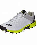 Image result for Cricket Sport Shoes