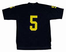 Image result for Michigan Adidas Football Jersey