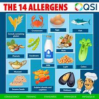Image result for Main Food Allergens
