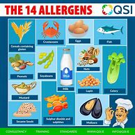 Image result for Allergy Information