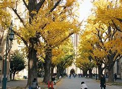 Image result for Tokyo Institute of Technology University