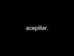 Image result for acepillar