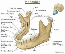Image result for D and D Jawbone