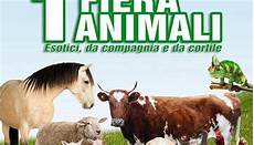fiera animali da cortile prima fiera degli animali esotici da compagnia e da fiera animali da cortile prima fiera degli animali esotici da compagnia e da