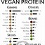 Image result for Vegan Protein Sources