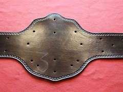 Image result for Professional Wrestling Championship Belts