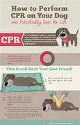 Image result for CPR Recording Form