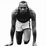Image result for Adi Dassler Jesse Owens