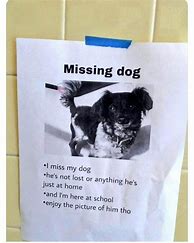 Image result for Missing Dog Meme