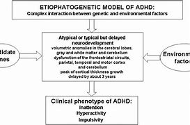 Image result for Memes About ADHD