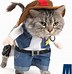 Image result for Cool Cat Costume