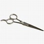 Image result for Professional Beard Trimming Scissors