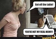 Image result for Cat Memes Clean and Funny Cute