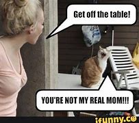 Image result for I Got a Feeling Funny Pic