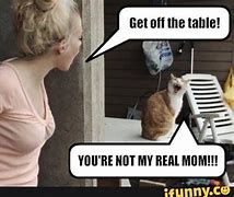 Image result for Sorry Mom Cat Meme