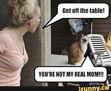 Image result for Funny Real Life Photos