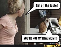 Image result for iFunny Pics