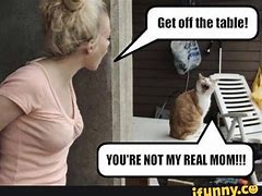 Image result for Funny Cat Memes for Kids