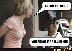 Image result for OMG Cat Meme