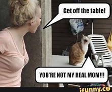 Image result for Funny Pics App