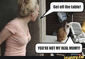 Image result for Funny Cat Face Meme