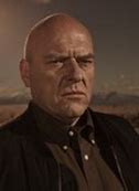 Image result for New Show with Hank Breaking Bad