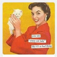 Image result for Happy Birthday Cat Lady Meme