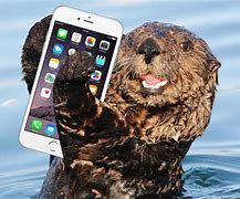Image result for 5G iPhone Otter
