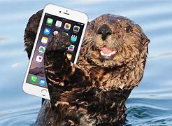 Image result for Otter Smartphone