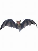 Image result for Hanging Vampire Bat Prop