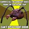 Image result for Low Quality Ant Meme
