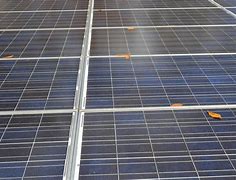 Image result for Darlington Point Solar Farm