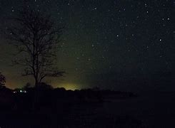 Image result for Noches Estrelladas Oscuras