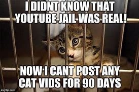 Image result for White Cat in Jail Meme
