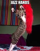 Image result for Blurry Cat Jazz Dancing Meme