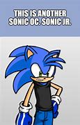 Image result for Sonic OC Meme
