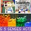 Image result for Five Senses for Preschool