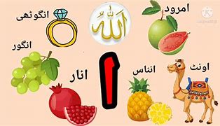 Image result for alif�yico
