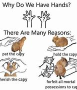 Image result for Why Do We Have Hands There Are Many Reasons Meme