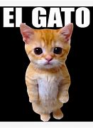 Image result for El Gato Meme Print Out