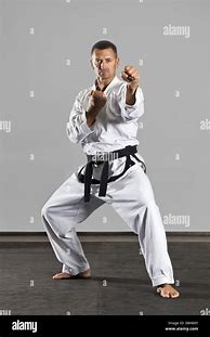Image result for Martial Arts Master