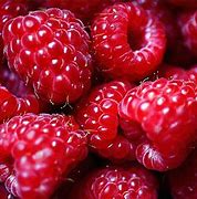 Image result for Raspberry Fruit Background