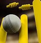 Image result for Cricket Ball Hitting Stumps