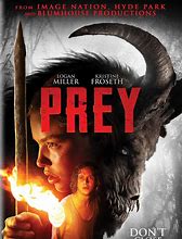 Image result for Horror Movies DVD 2019