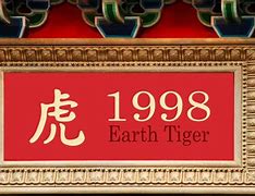 Image result for Year of the Tiger Earth Patch