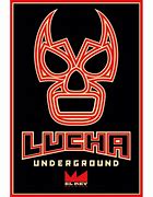 Image result for Drago Luchador Logo