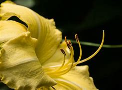 Image result for Garden of Remembrance