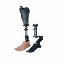Image result for Prosthetic Leg Accessories