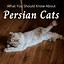 Image result for Persian Cat Profile