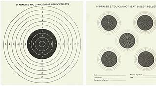 Image result for Bisley Air Rifle Targets